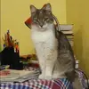 Отзыв от Лилия Губанова